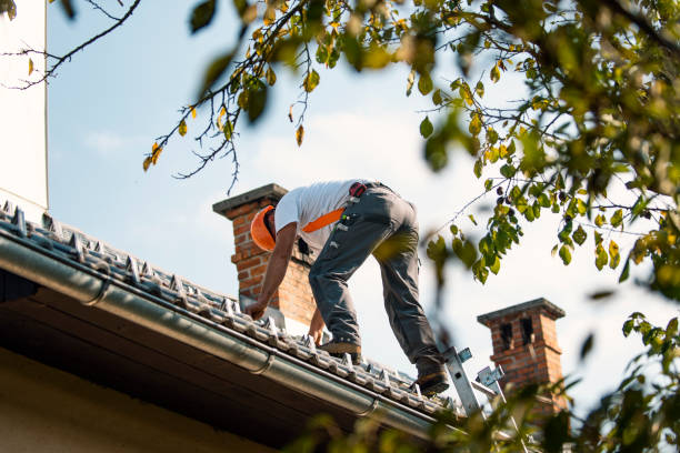 Best Metal Roofing Contractor  in Breezy Point, MN